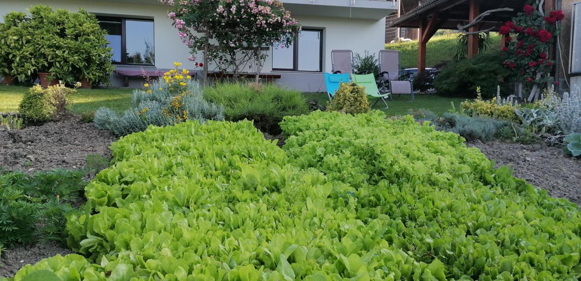 Apartma Na Ravnicah Cerkno Exterior photo